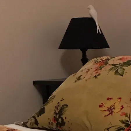 A Vol D'oiseau * 翁弗勒尔