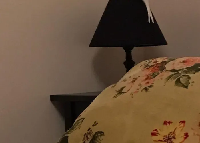 A Vol D'oiseau * 翁弗勒尔