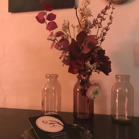 A Vol D'oiseau Séjour chez l'habitant Honfleur